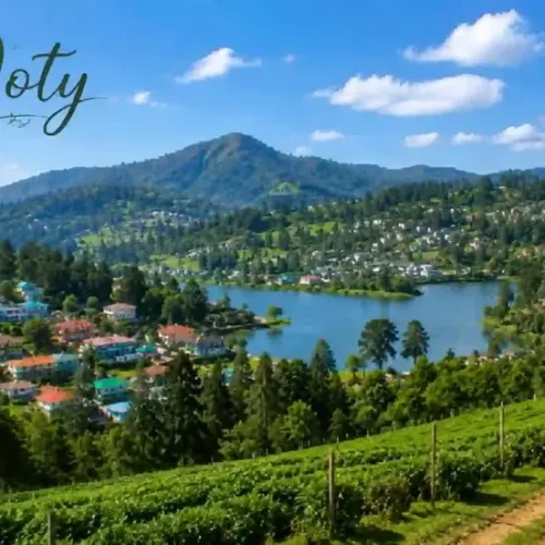 Ooty Family Tour Package