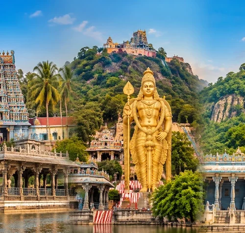 Arupadai Veedu Murugan Temple Tour from Madurai