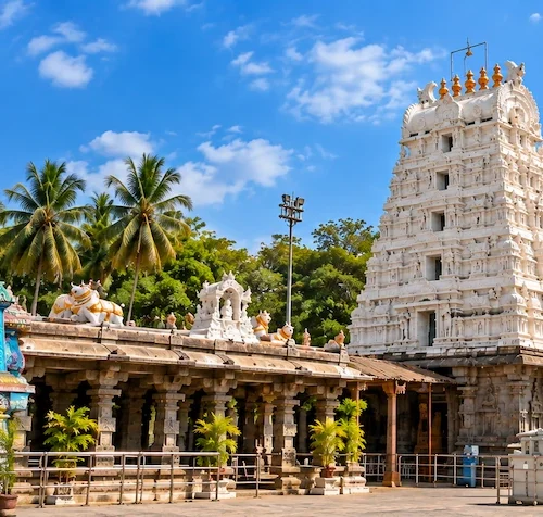 Mallikarjuna Temple Hyderabad Tour from Madurai