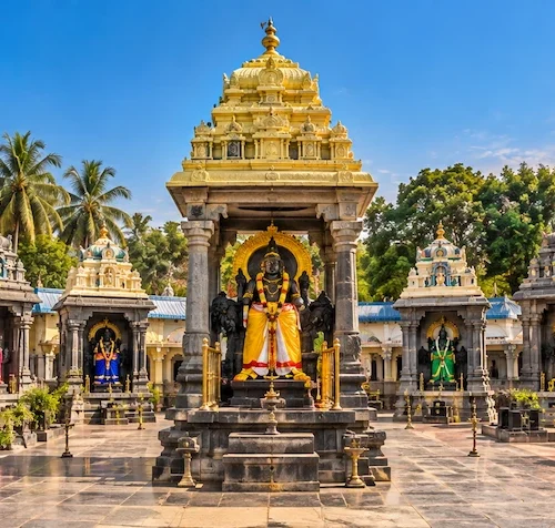 Navagraha Temple Tour f