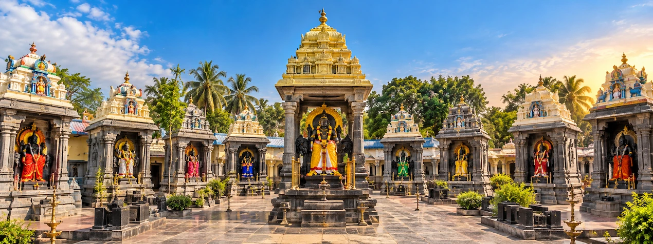 Navagraha Temple Tour f